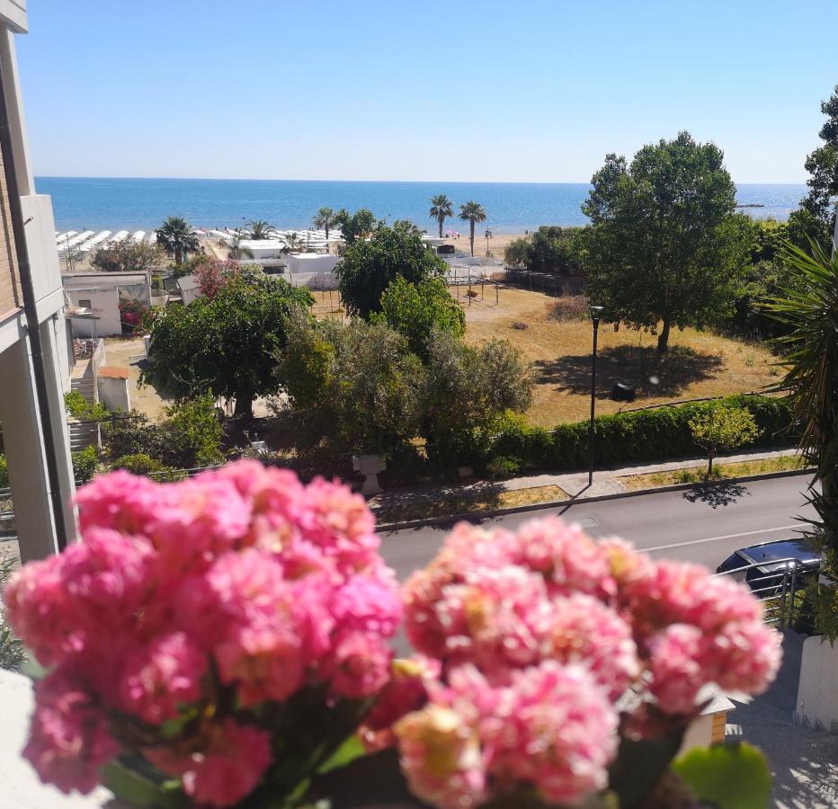 Cala Di Rio B&B テルモリ エクステリア 写真